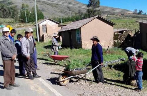 Verteilung der Pflanzen in Khewiña Khasa 2019