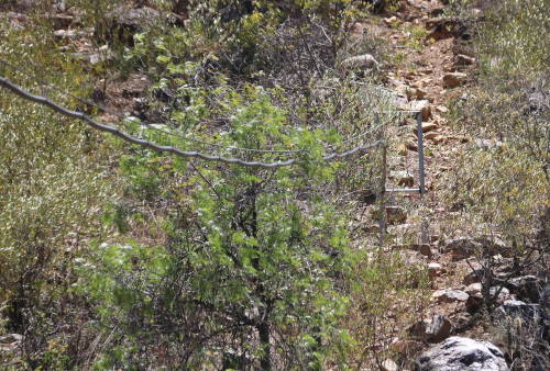 Die Leitung führt, an einem Kabel aufgehängt, über eine Senke im Gelände. Aufnahme 2021.