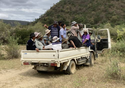 Alle wollen dabei sein.