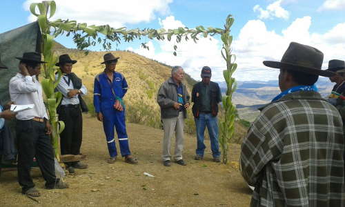 Übergabe am 30. November 2016.