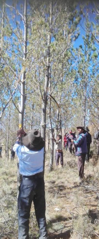 Ausbildung Juni 2019